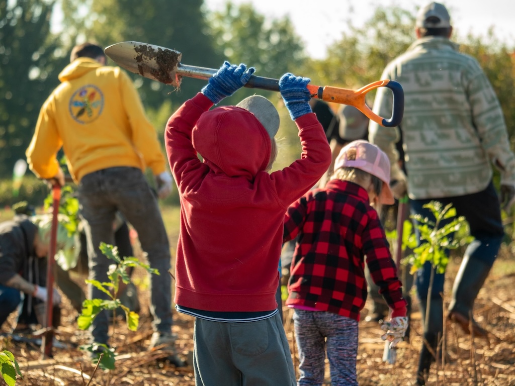 10 750 arbres de plus sur l’île Sainte-Thérèse à Varennes